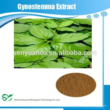 Natürliches Gynostemma pentaphyllum Extrakt Pulver